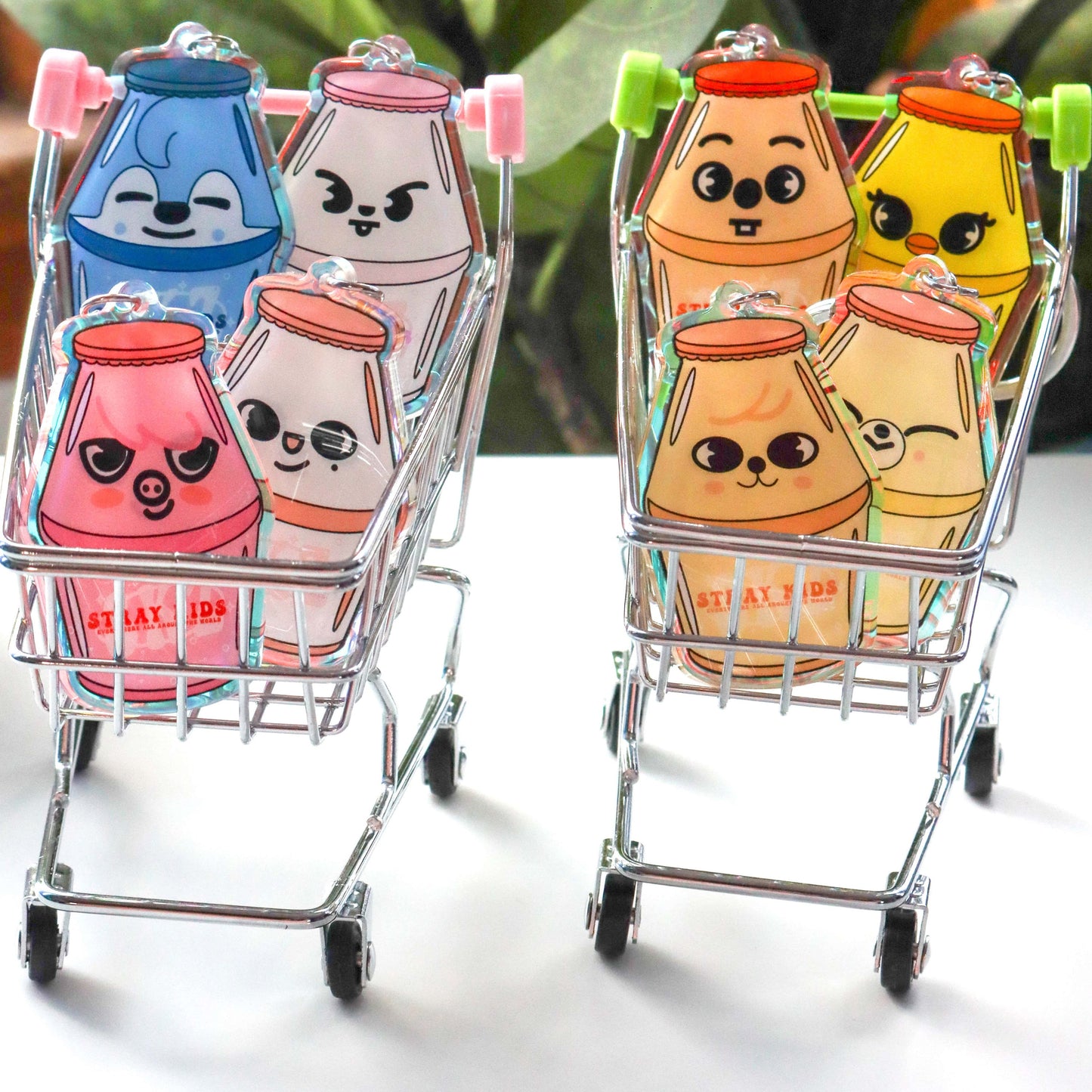 Stray Kids SKZOO Acrylic Bottle Keychains